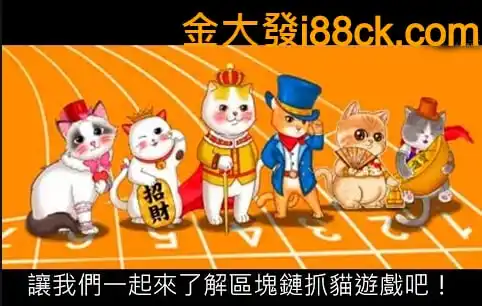 抓貓遊戲賺錢是真的嗎