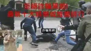 539最常一起開的號碼」，直接從539開獎找到規律