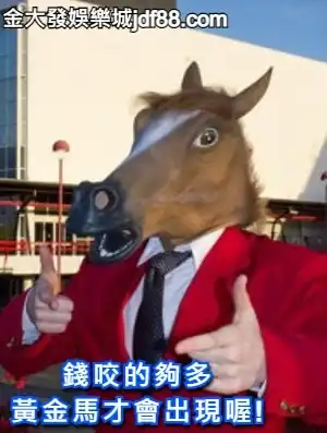 539最常一起開的號碼」，直接從539開獎找到規律